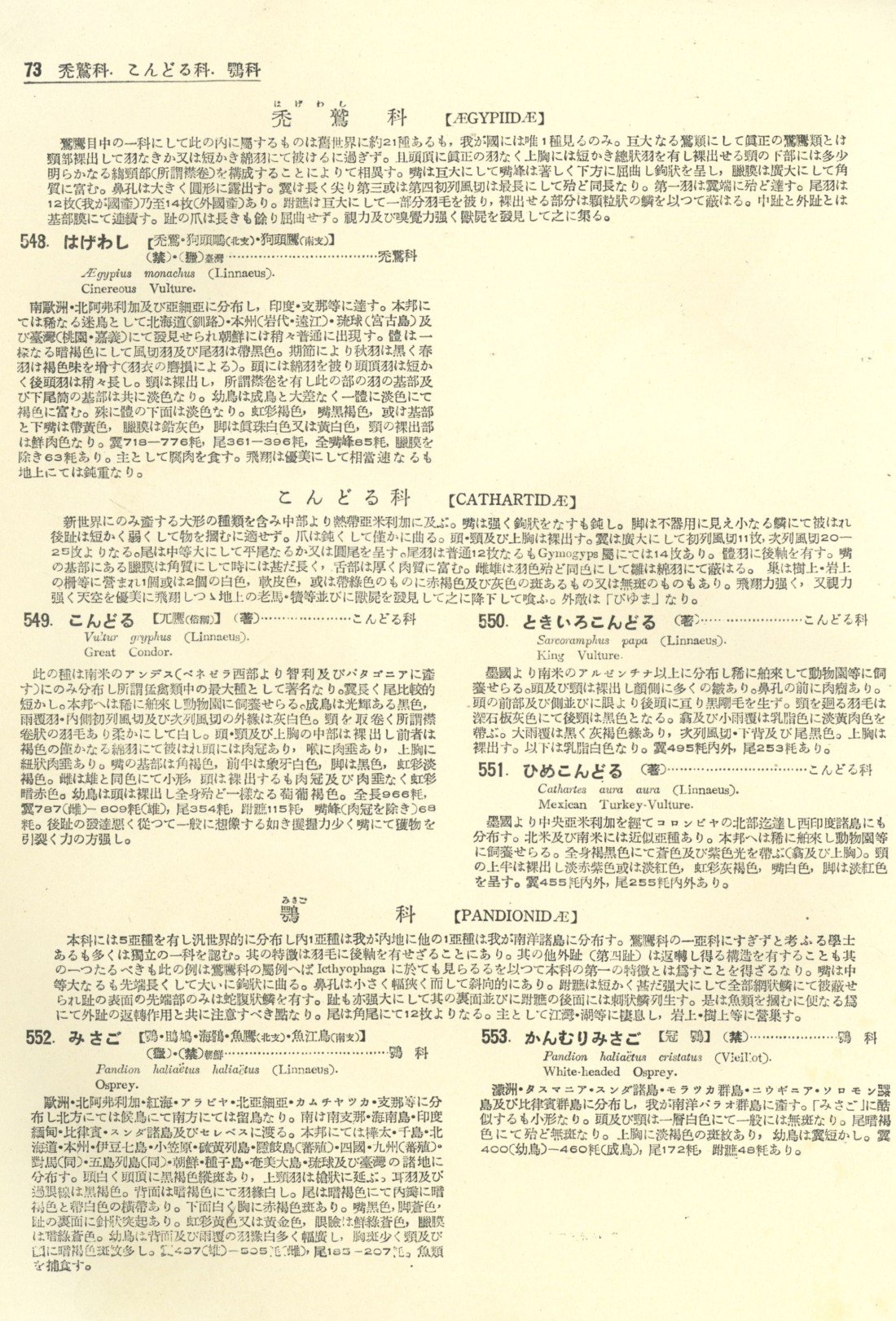 페이지