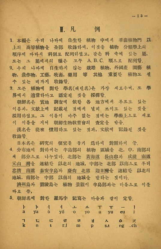 13페이지