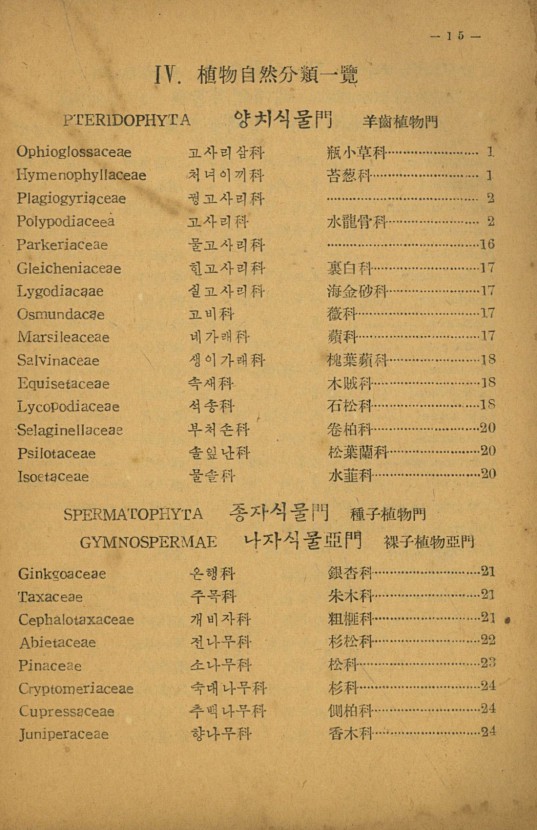 15페이지