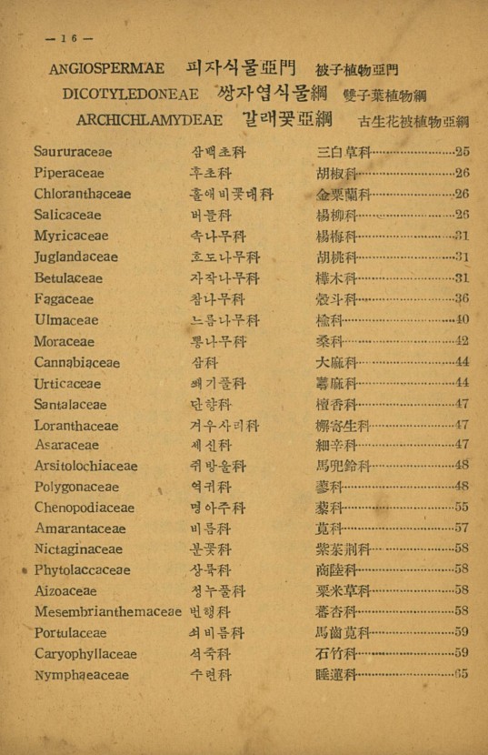 16페이지