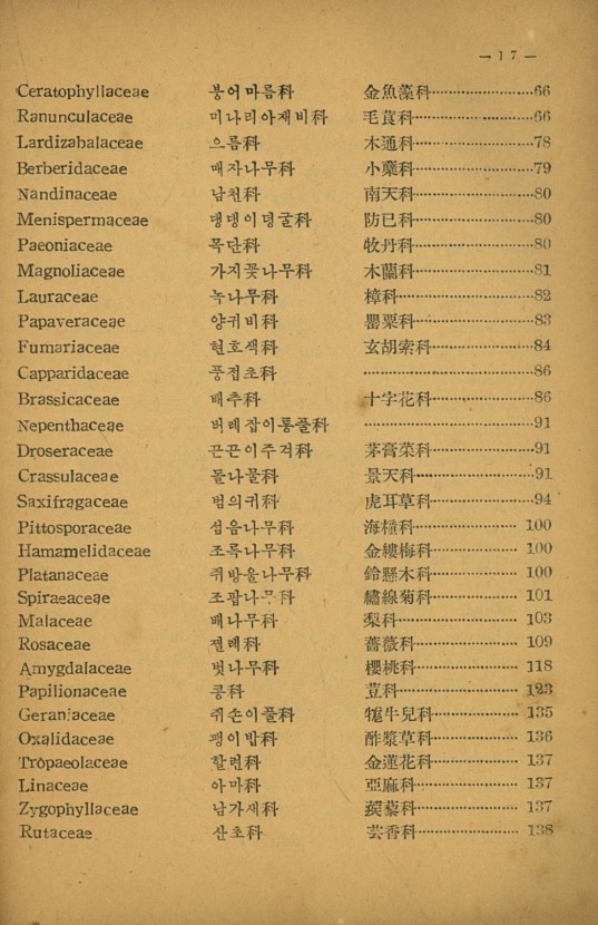 17페이지
