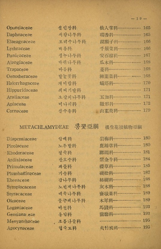 19페이지