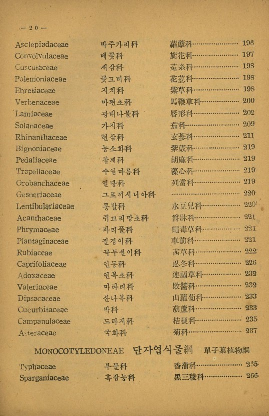 20페이지