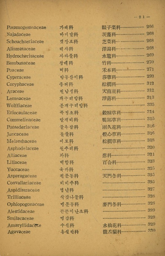 21페이지