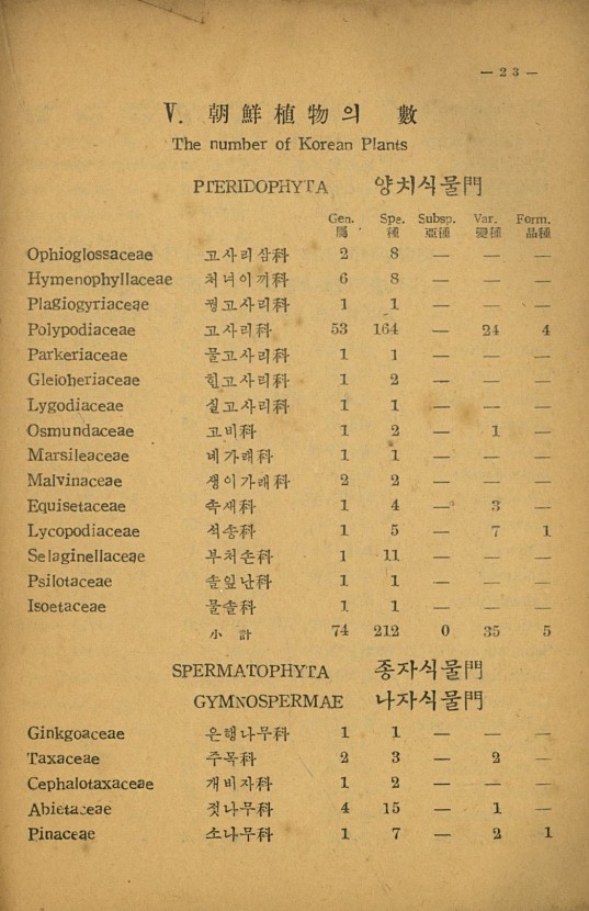 23페이지