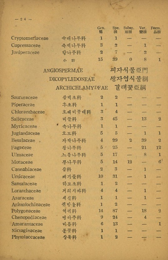 24페이지