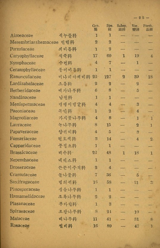 25페이지