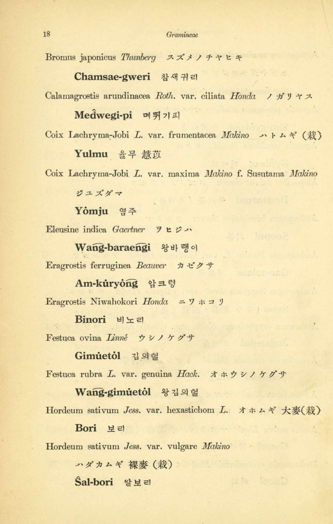 페이지