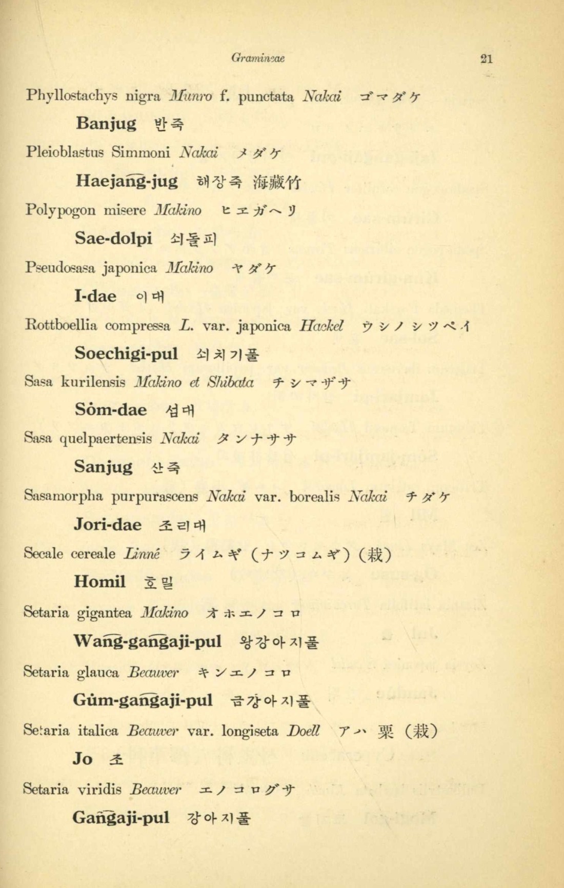 페이지