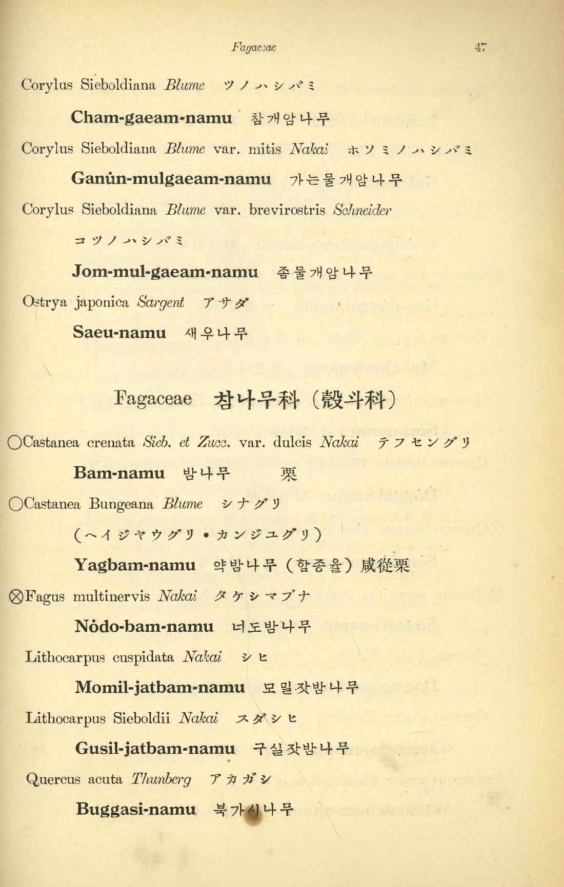 페이지