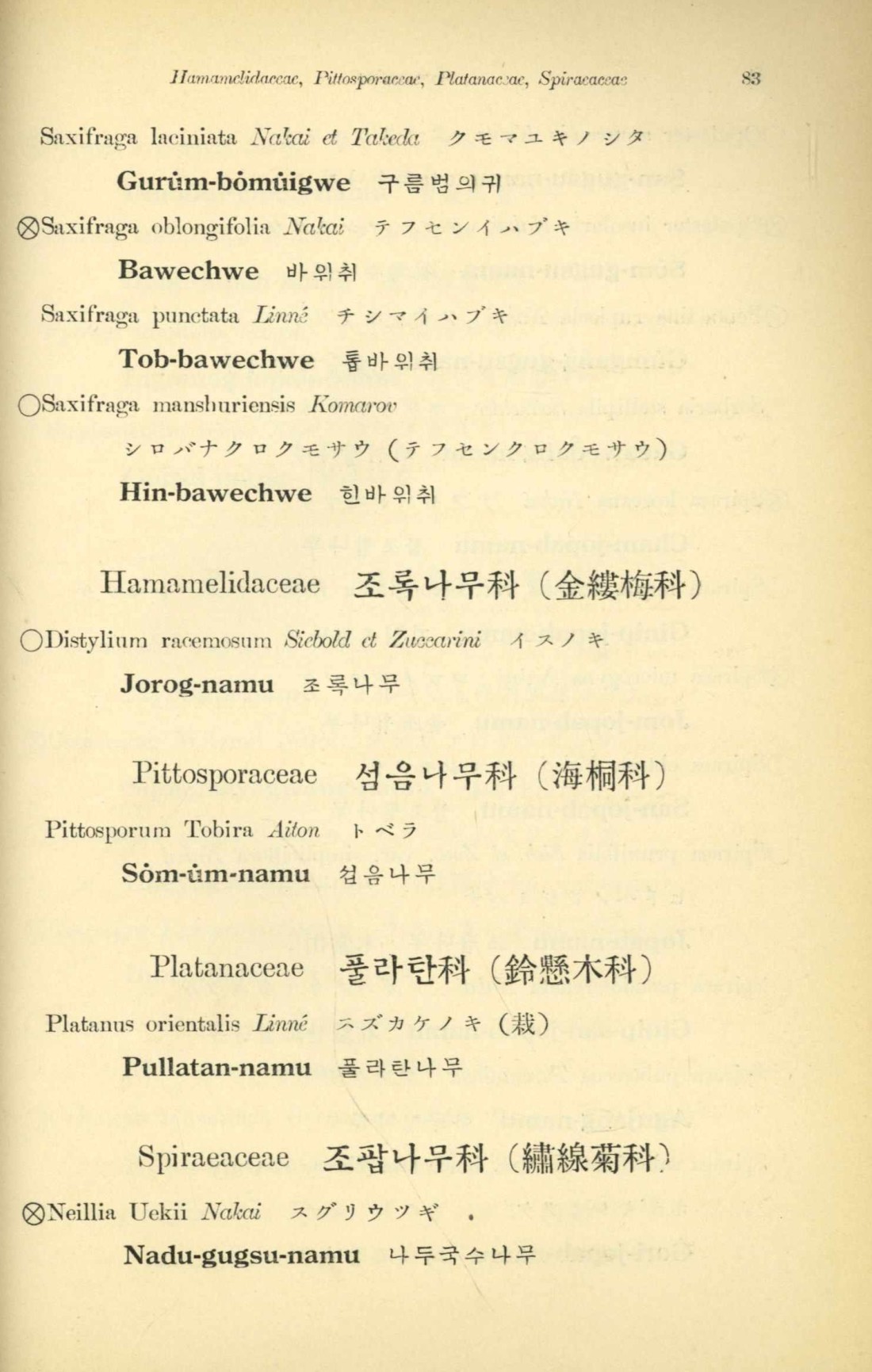 페이지