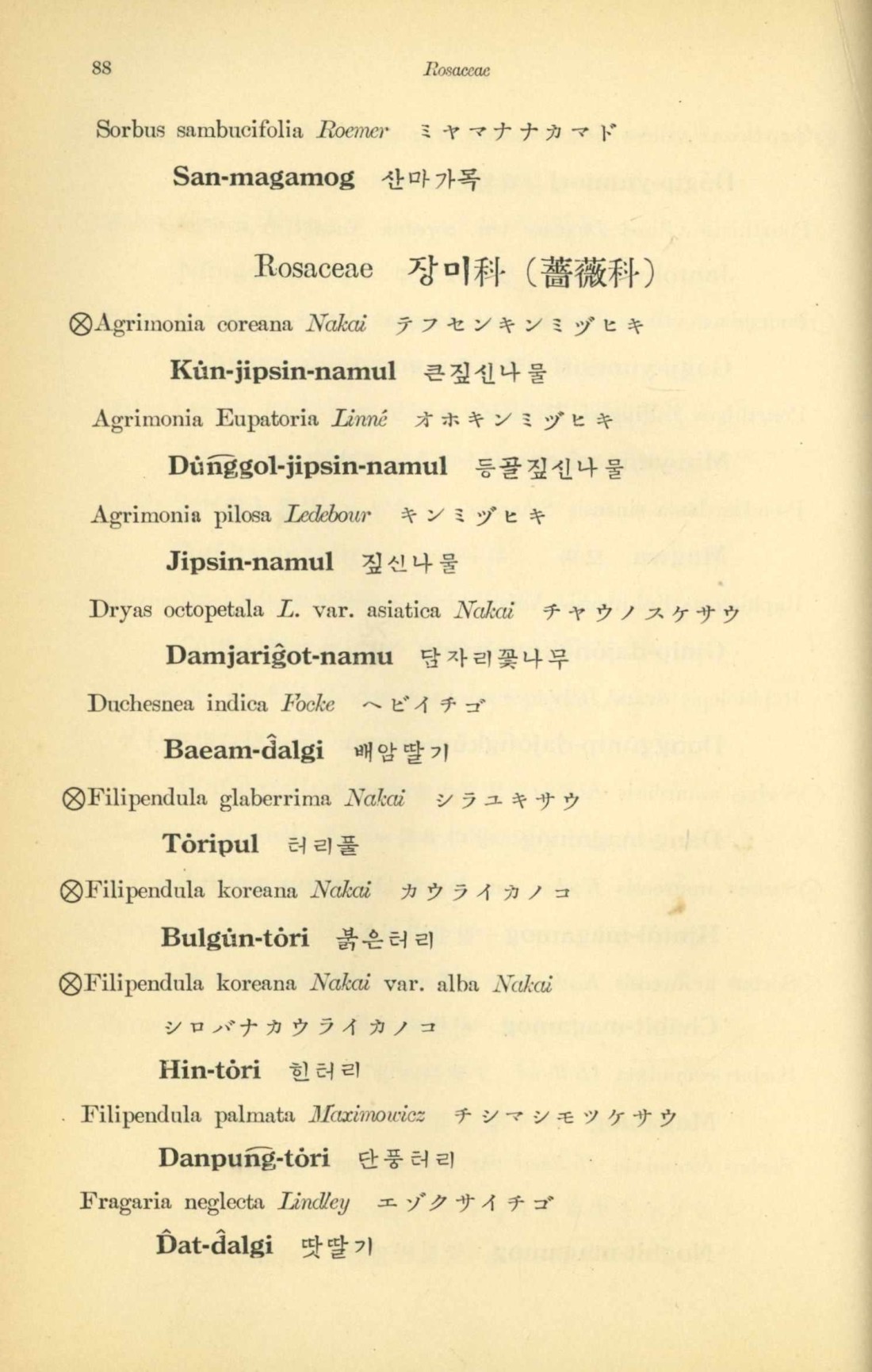 페이지