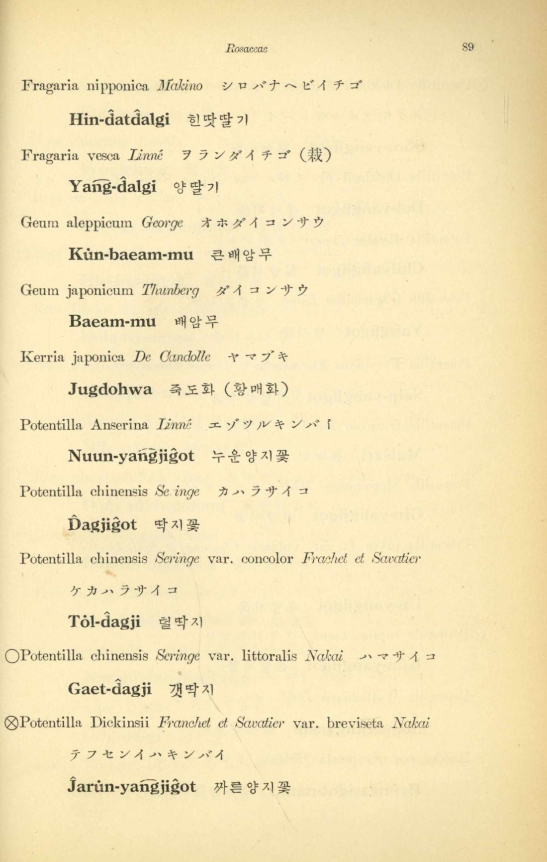 페이지