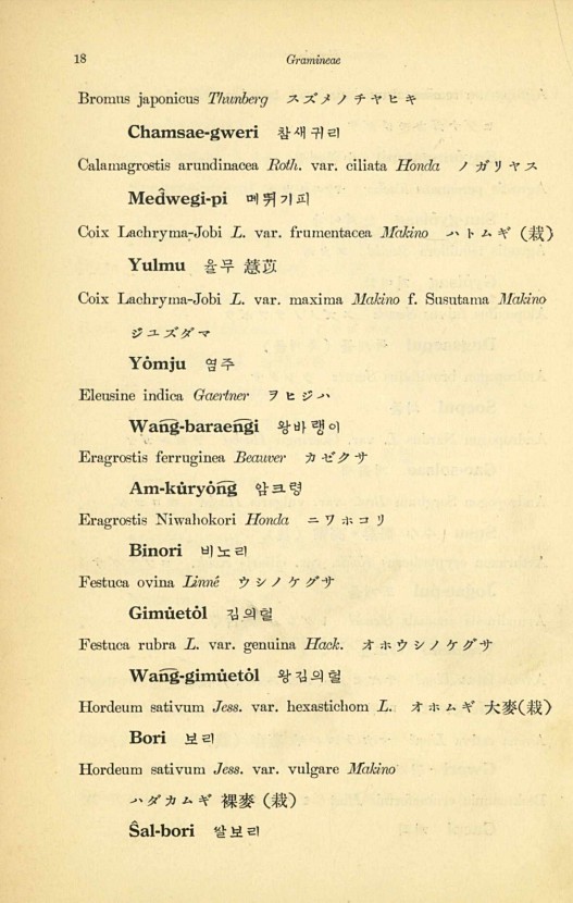 18페이지