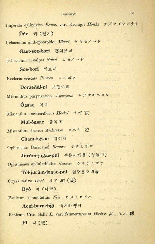 19페이지