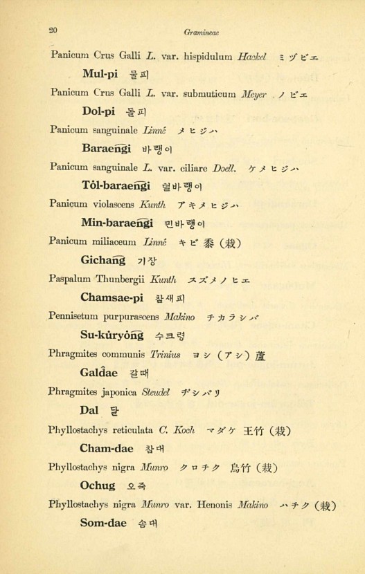 20페이지