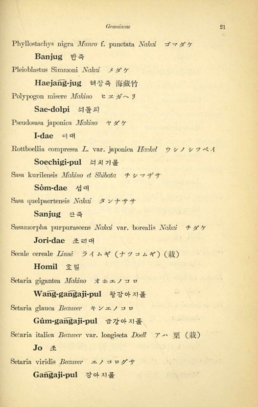 21페이지