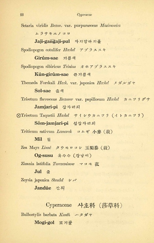 22페이지