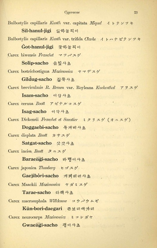 23페이지