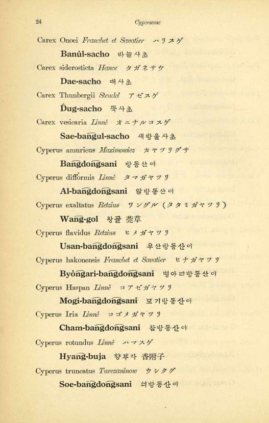 24페이지