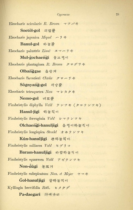 25페이지