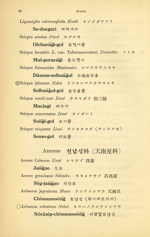 26페이지