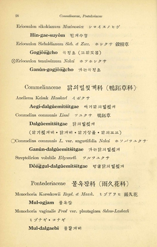 28페이지