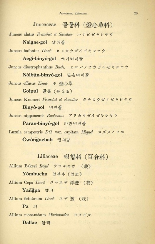 29페이지