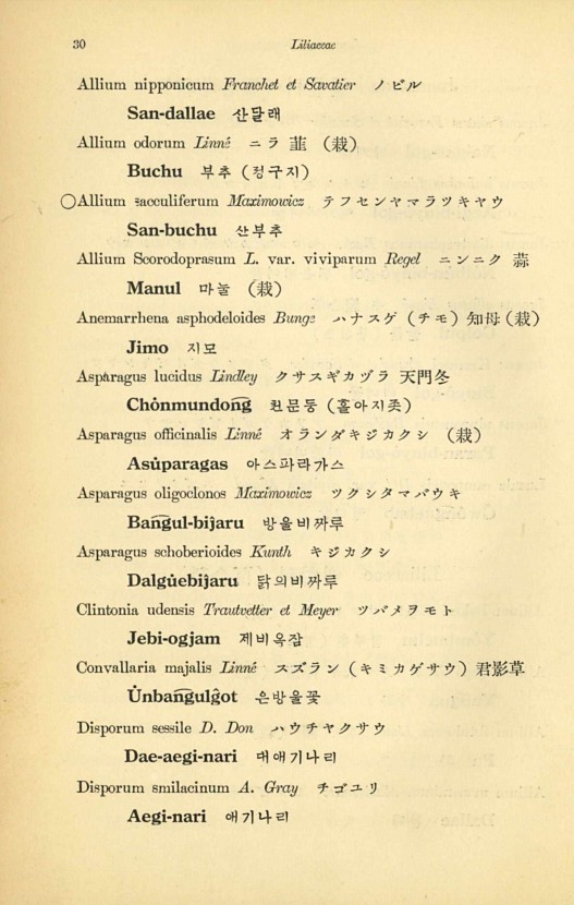 30페이지