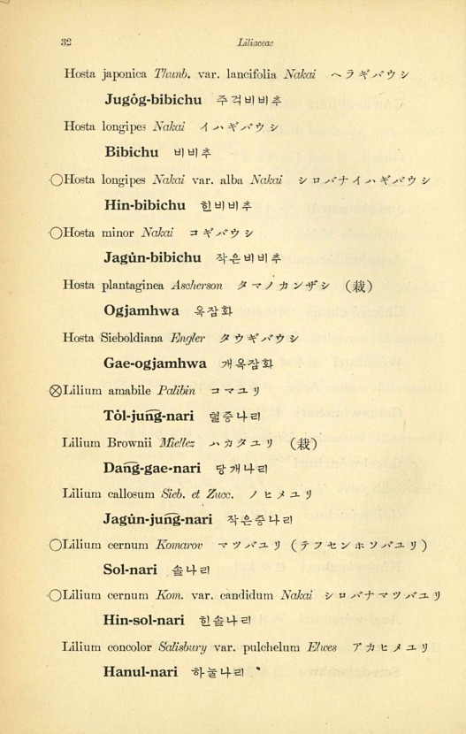 32페이지