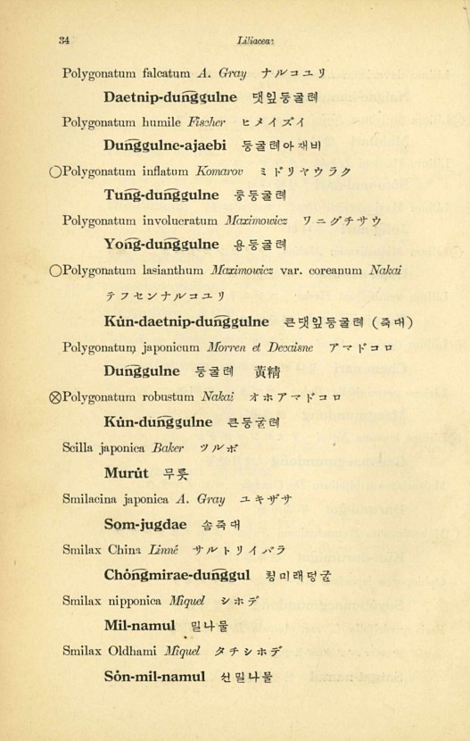 34페이지