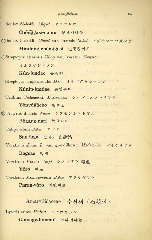 35페이지