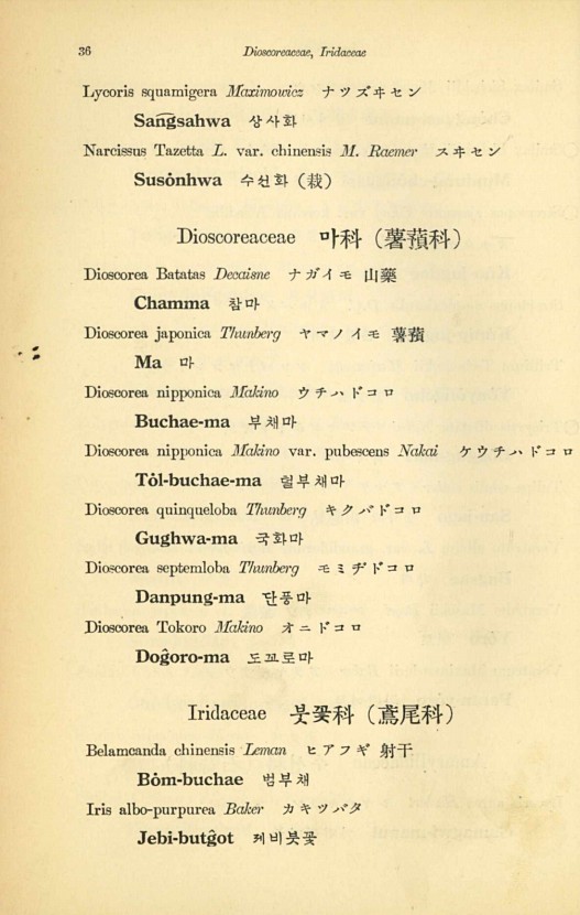 36페이지