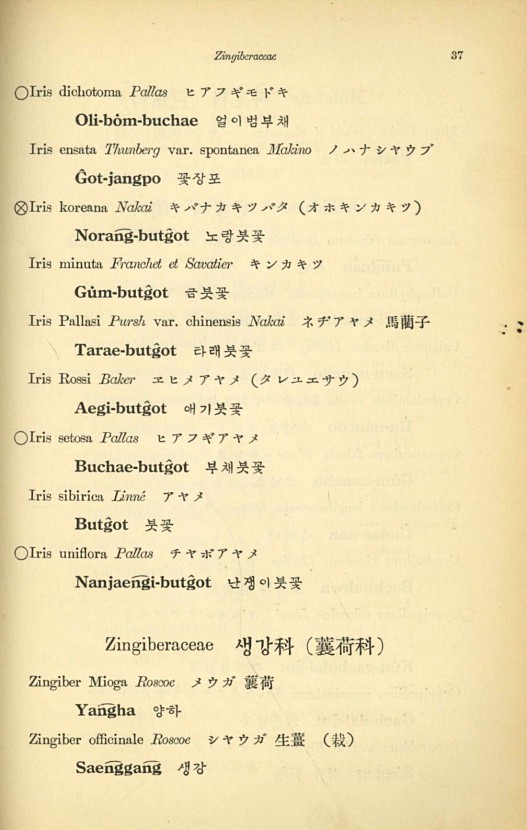 37페이지
