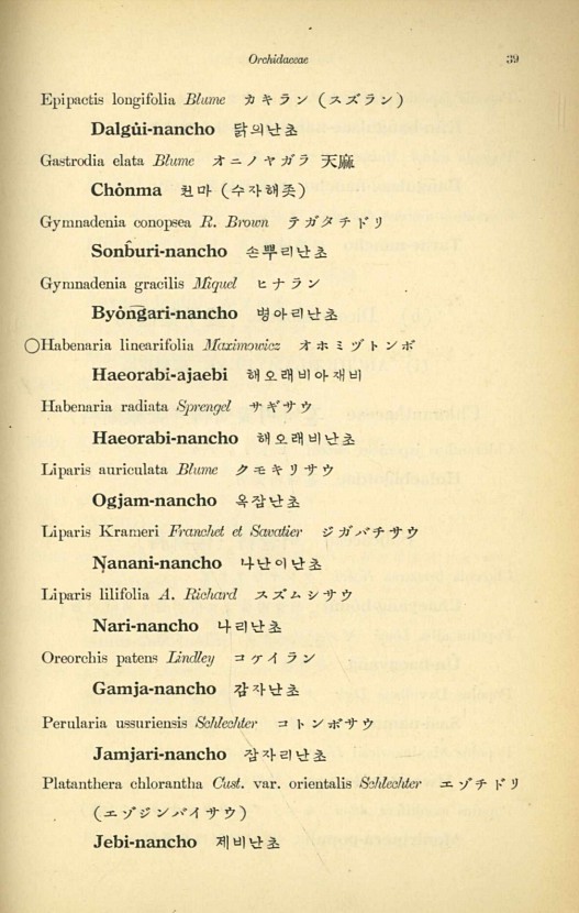 39페이지
