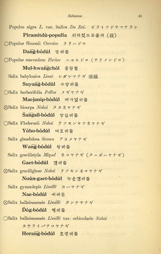 41페이지