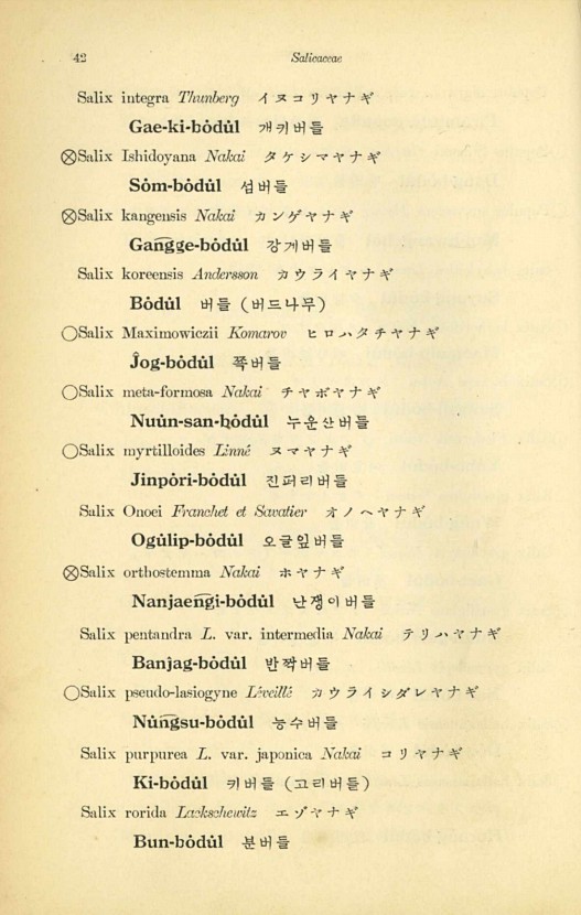 42페이지