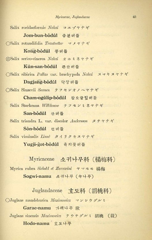 43페이지