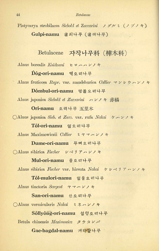 44페이지