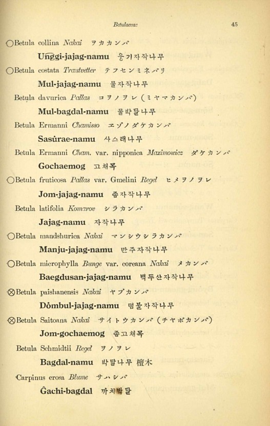 45페이지