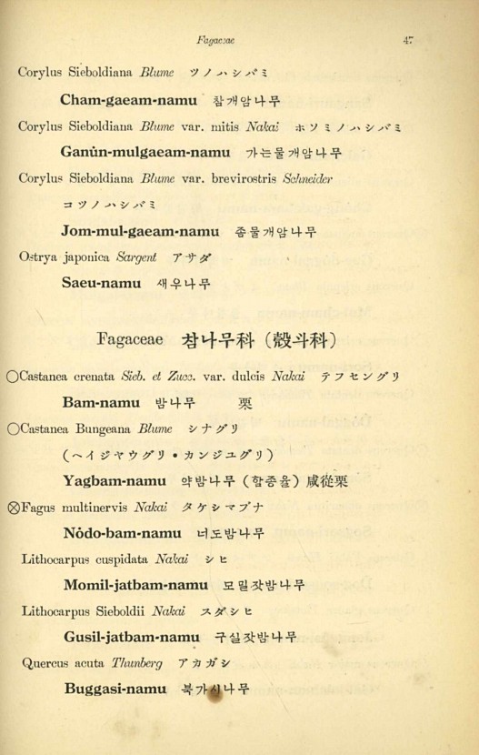 47페이지