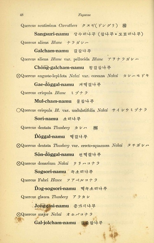 48페이지