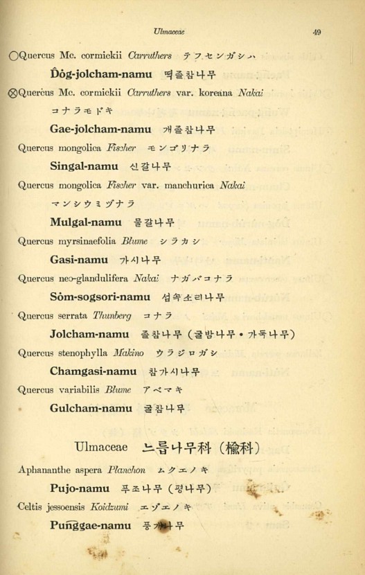 49페이지