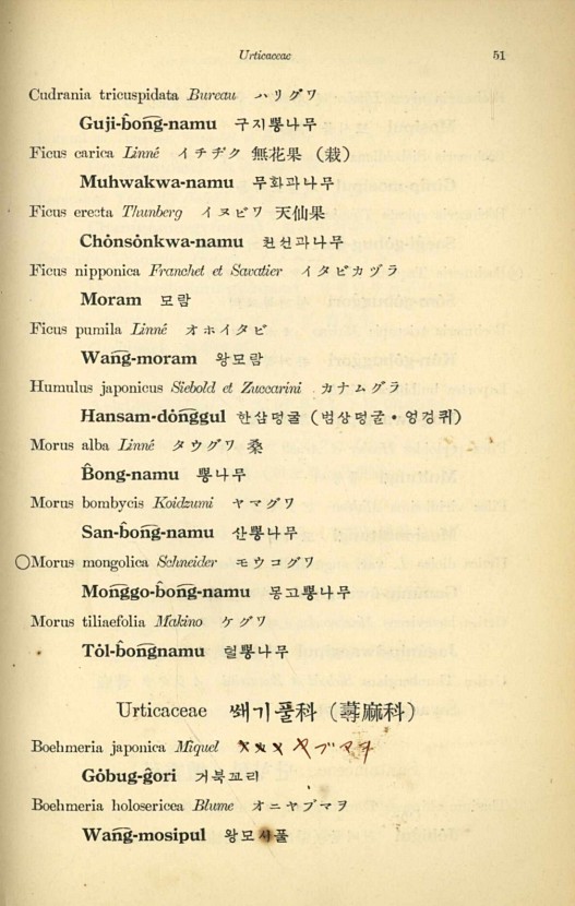 51페이지