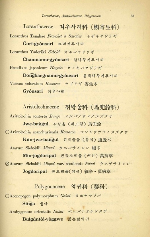 53페이지