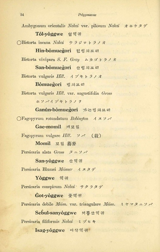 54페이지