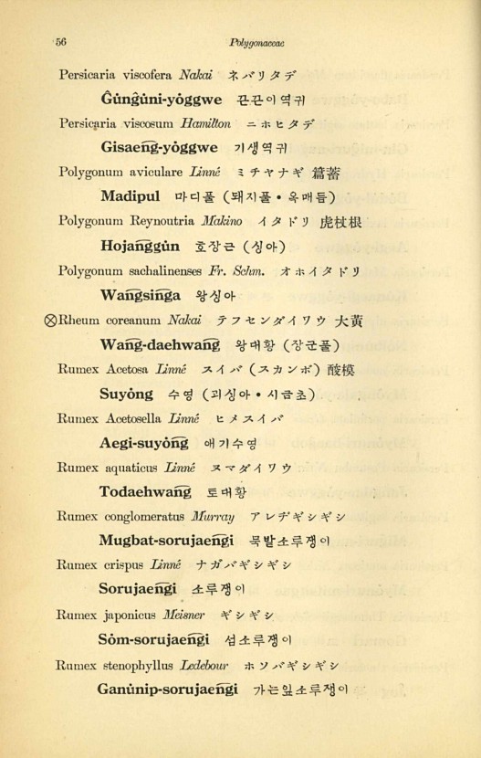 56페이지