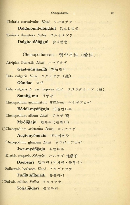 57페이지