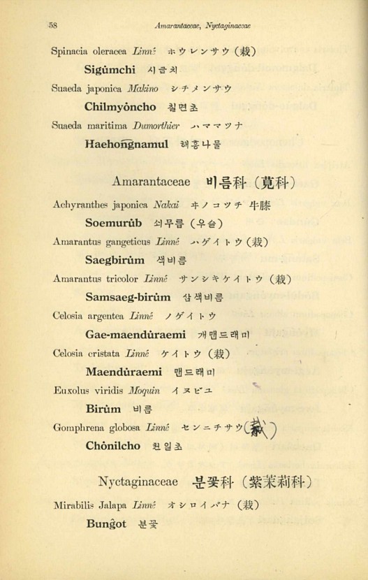 58페이지
