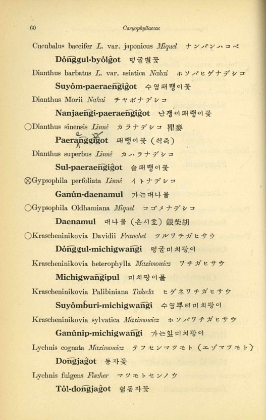 60페이지